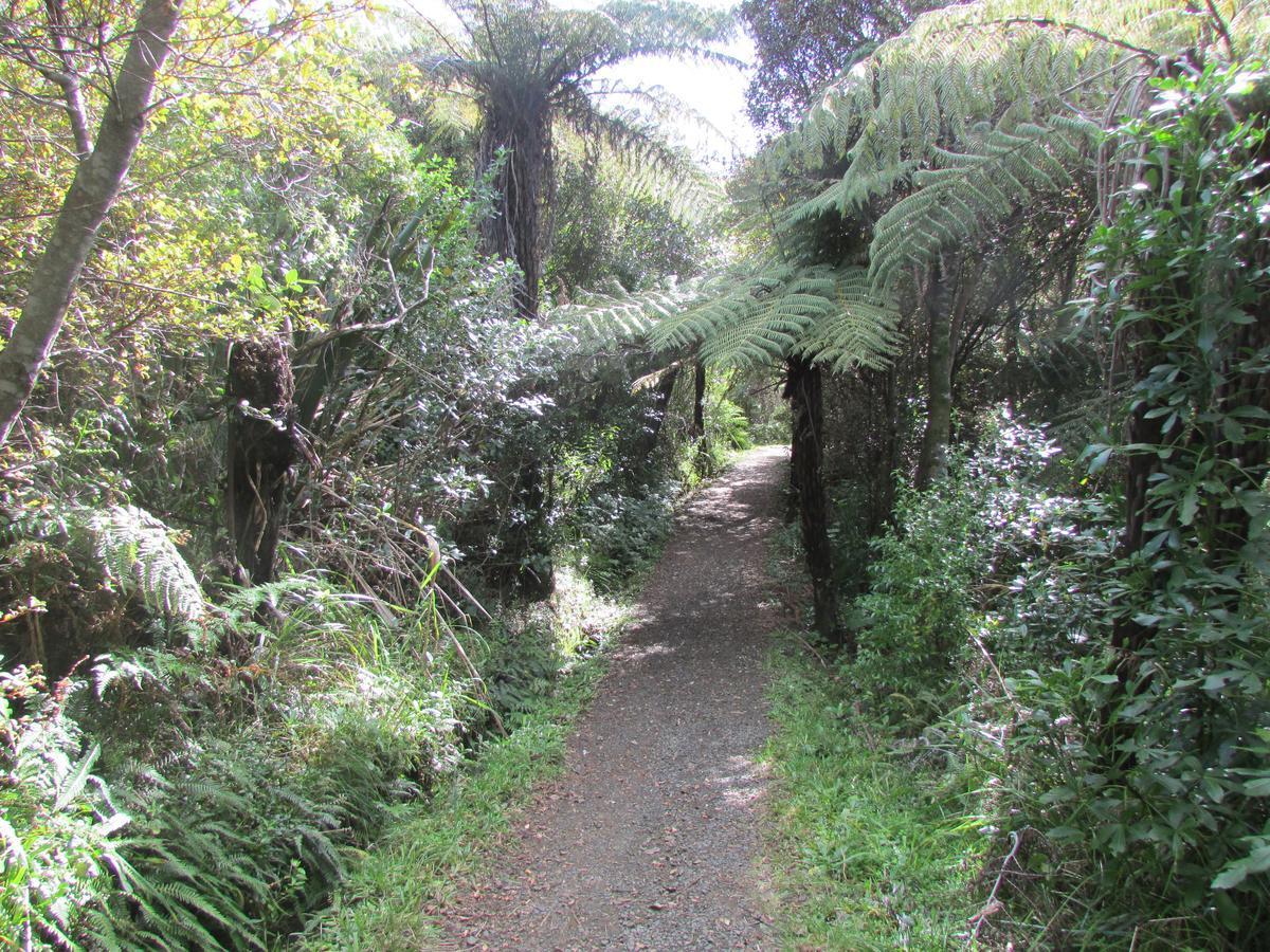Flaxmill Cove B&B Whitianga Buitenkant foto